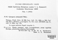 Cytospora cotoneastri image